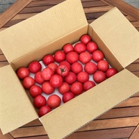 大玉トマトA級3.8kg 各種(AS級3.8kg（134g×29玉目安、排出口：4小）)