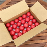 大玉トマトA級3.8kg 各種(AM級3.8kg（200g×20玉目安、排出口：2）)