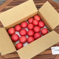 大玉トマトA級3.8kg 各種(AL級3.8kg（264g×15玉目安、排出口：4大）)
