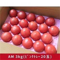 大玉トマトA級ギフト用 各種(ASM3kg(ﾋﾟﾝｸﾄﾚｰ20玉))