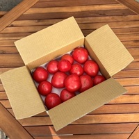 【訳あり】大玉トマトB級品（美味しさそのまま、形だけがB級）(2.3kg　バラ詰め（A級品より40％OFFでお買い得です）)