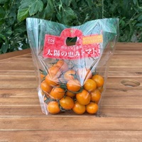 【希少品種】ピッコラカナリア(500g)