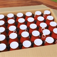 トマトジュース180ml 各種(30本（まとめ買い5%OFF）)