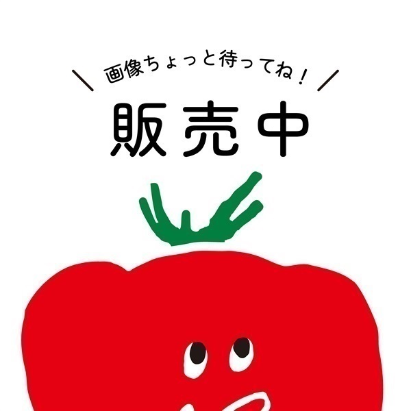 トマトケチャップ300g(12本組)